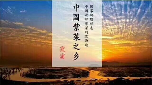 影支宝 你知道什么是“头水”紫菜吗？