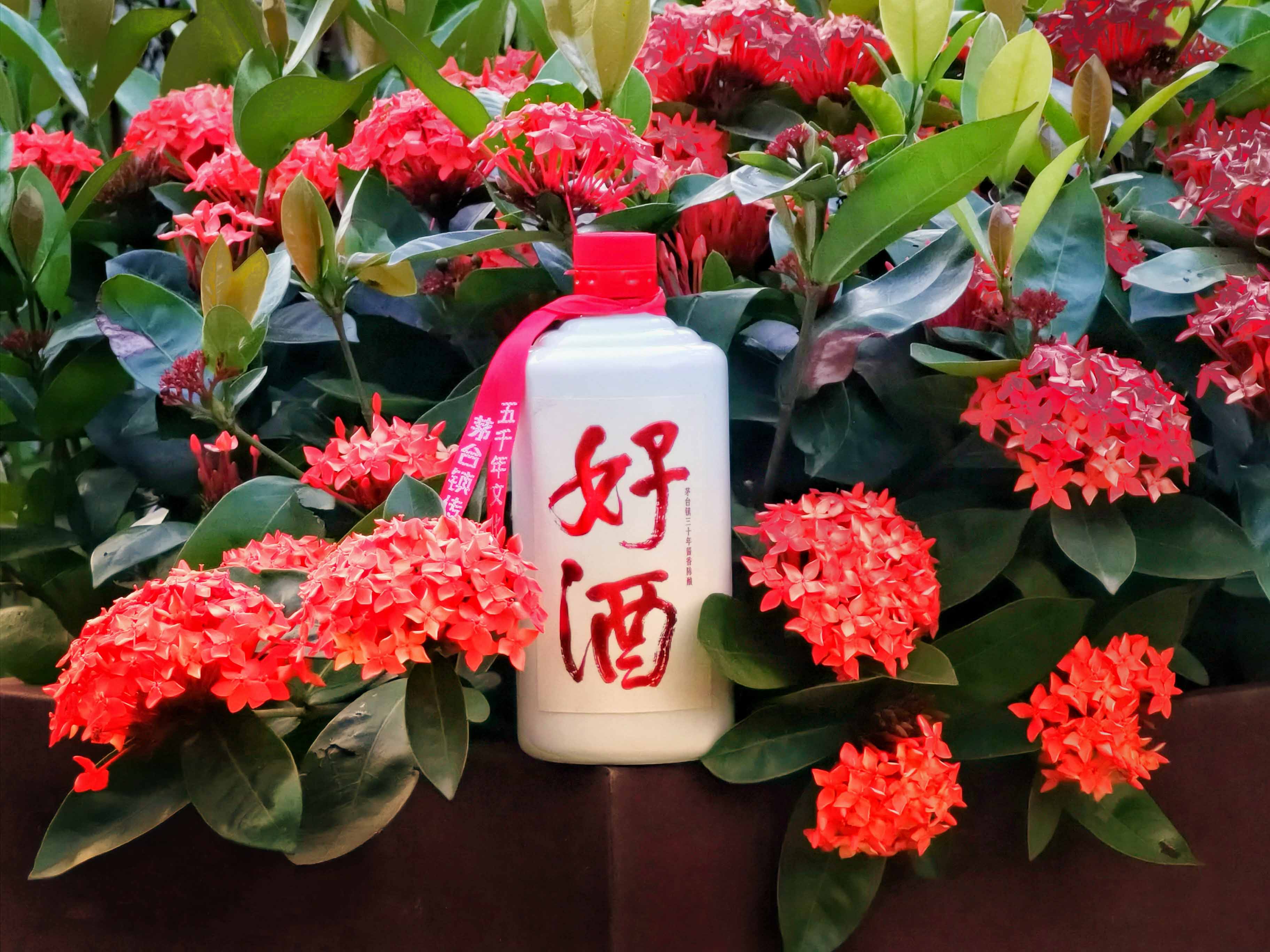 影支宝 茅台镇三十年酱香陈酿《好酒》中秋买2送1
