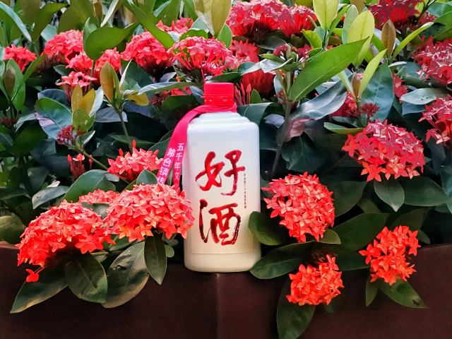 影支宝 茅台“好酒”端午节特价！