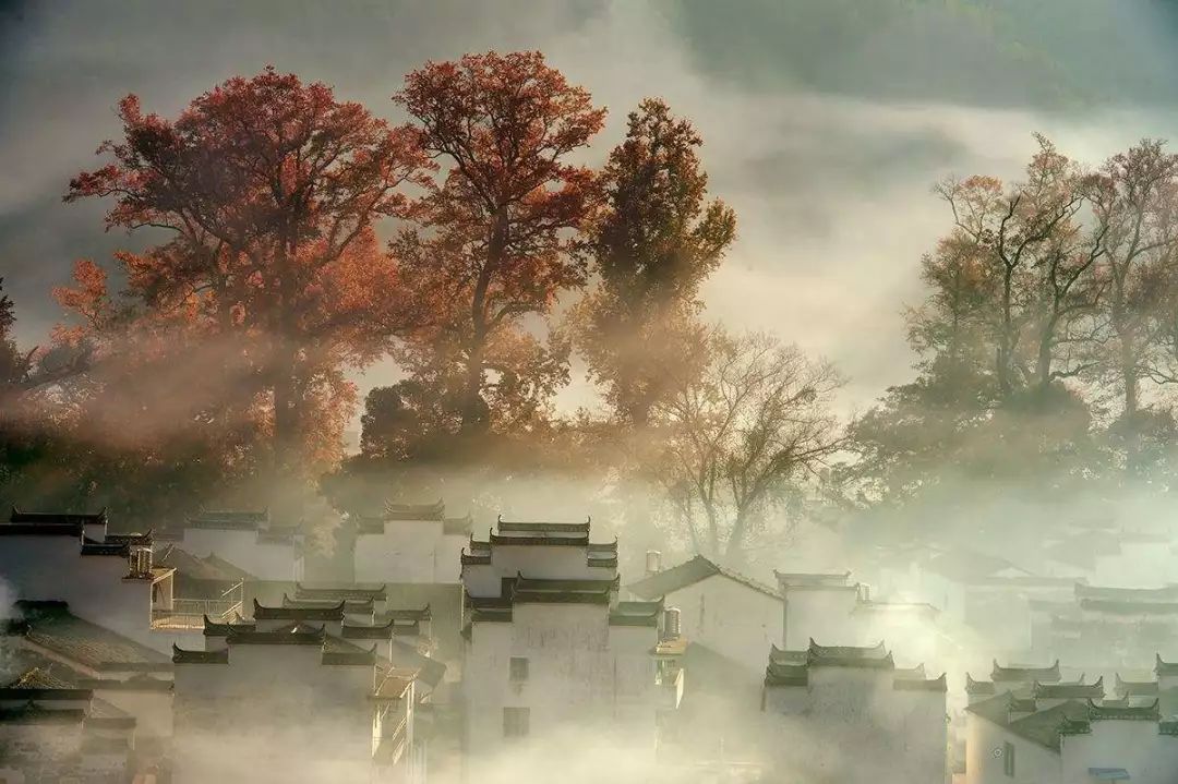 影支宝 2021年11月6日古徽州秋之七彩滩、对冲村、红杉林、月亮湾、石城、塔川风光人文摄影8天团