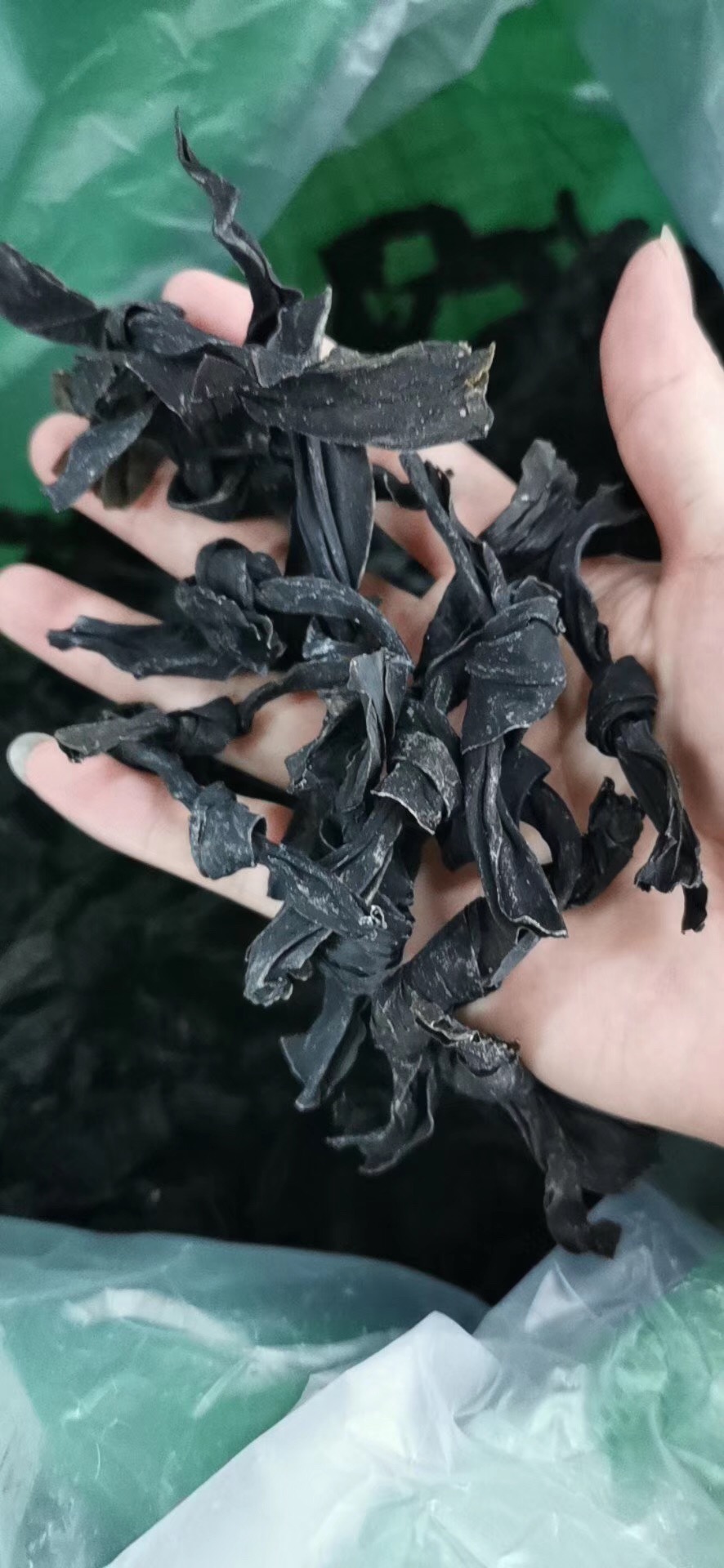 影支宝 小结风干海带结