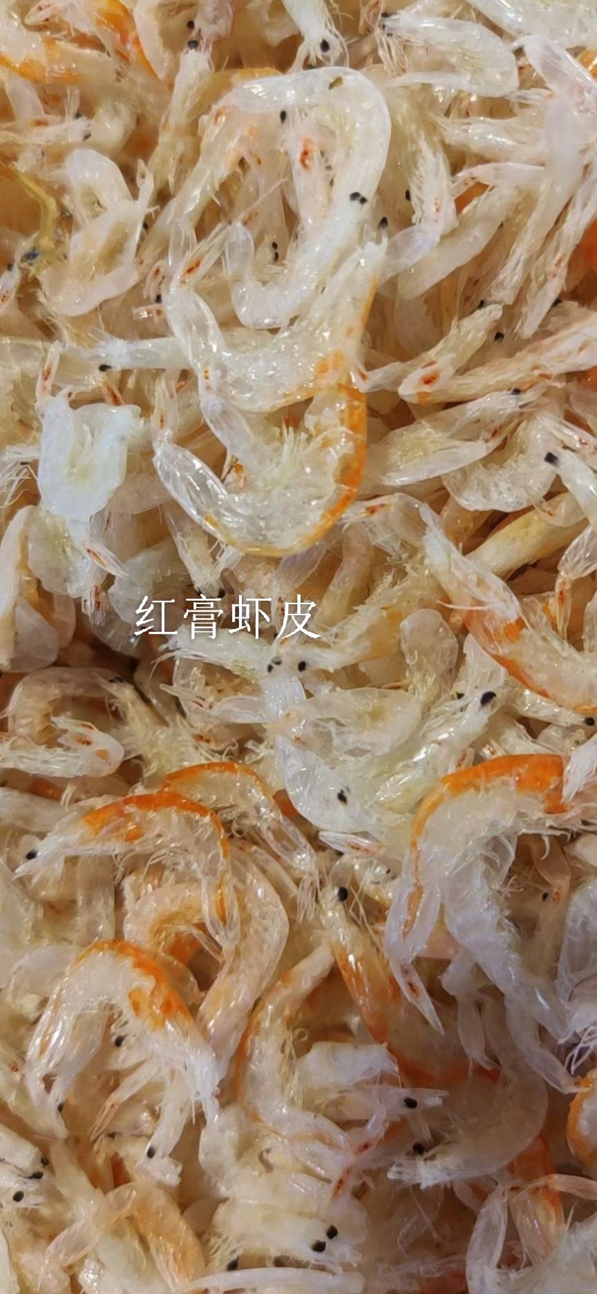 影支宝 红膏虾皮