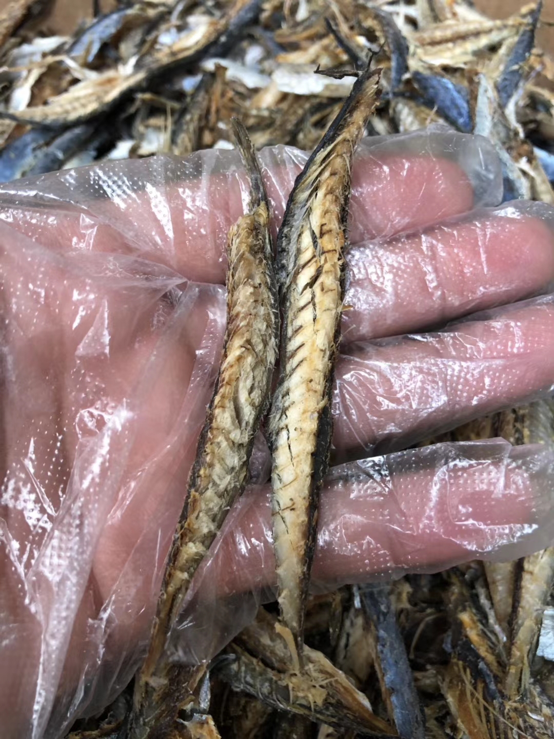 影支宝 熟巴浪鱼肉丝