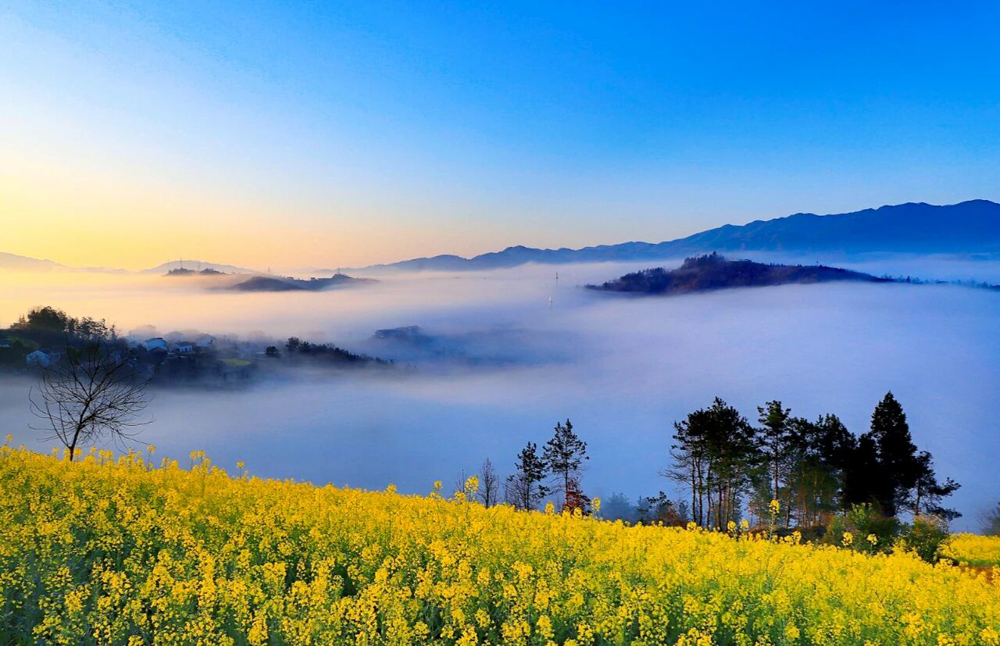 影支宝 3月21-27日【十堰春摄】花开十堰，春满鄂西北7天6晚春摄之旅